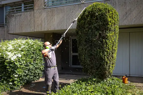 Ein Mitarbeiter beim Rückschnitt eines Strauches
