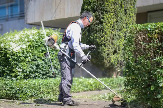 Ein Mitarbeiter beim Heckenschnitt